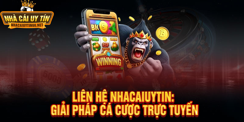 Liên hệ Nhacaiuytin - Hỗ trợ 24/7, giải đáp mọi thắc mắc trong nháy mắt 1 Liên hệ Nhacaiuytin: Giải pháp cá cược trực tuyến