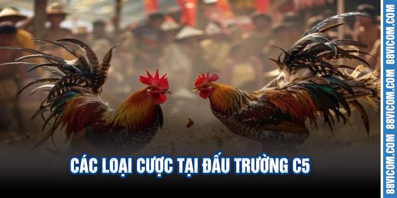 📊 Các Loại Cược Tại Đấu Trường C5