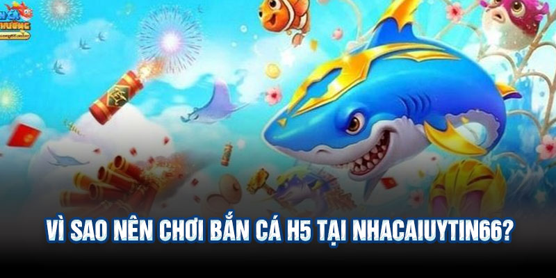 Vì Sao Nên Chơi Bắn Cá H5 Tại Nhacaiuytin66?