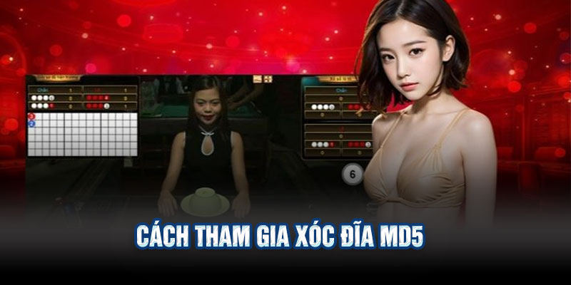 Cách Tham Gia Xóc Đĩa MD5